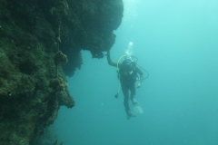P1000038
