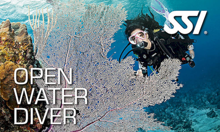 Open Water Diver